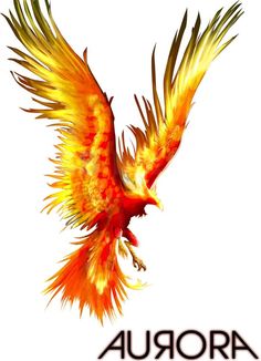 Phoenix feather, Phoenix bird and Studios