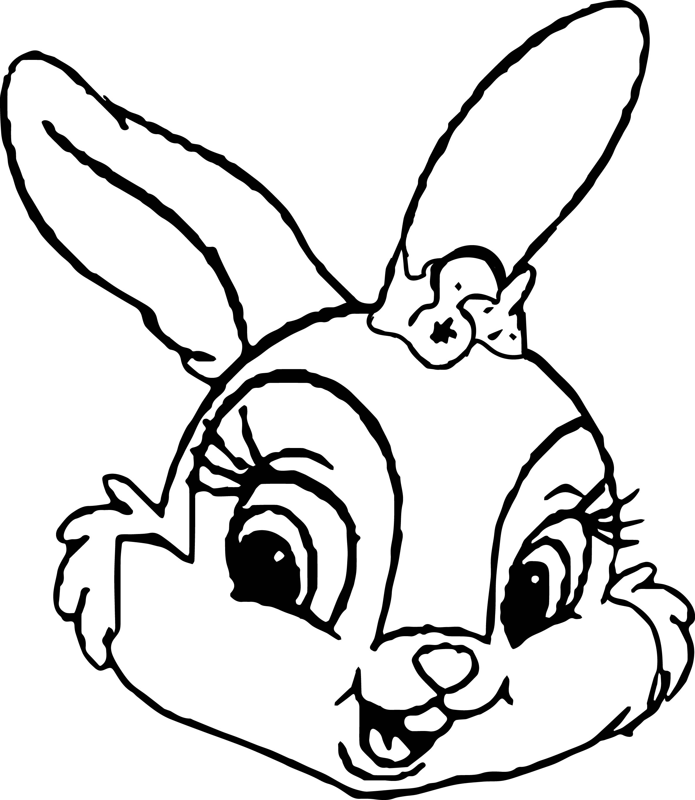 Thumpers Sisters And Miss Bunny Face Coloring Pages | Wecoloringpage