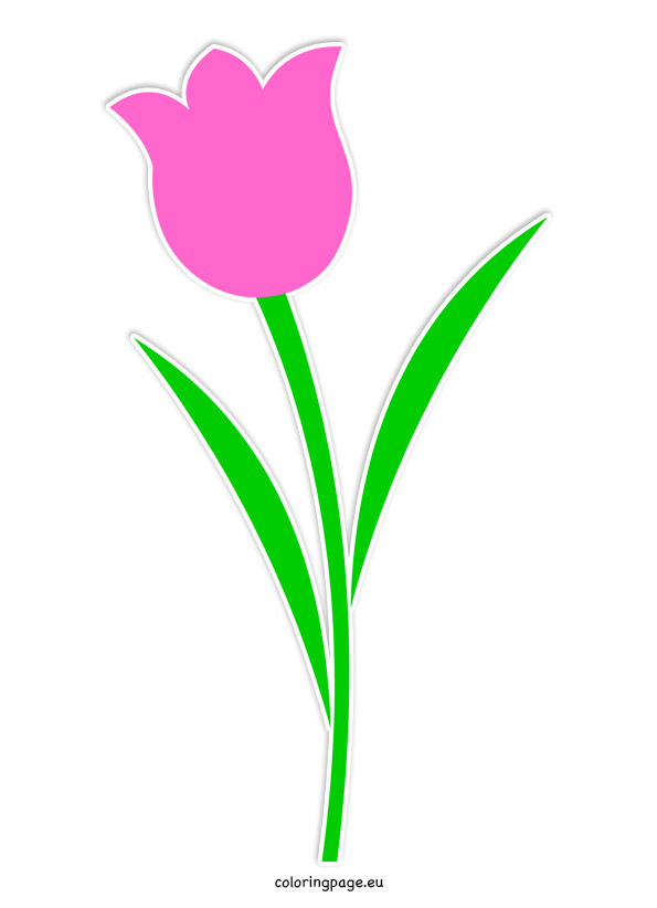 Tulip Flower Printable | Coloring Page