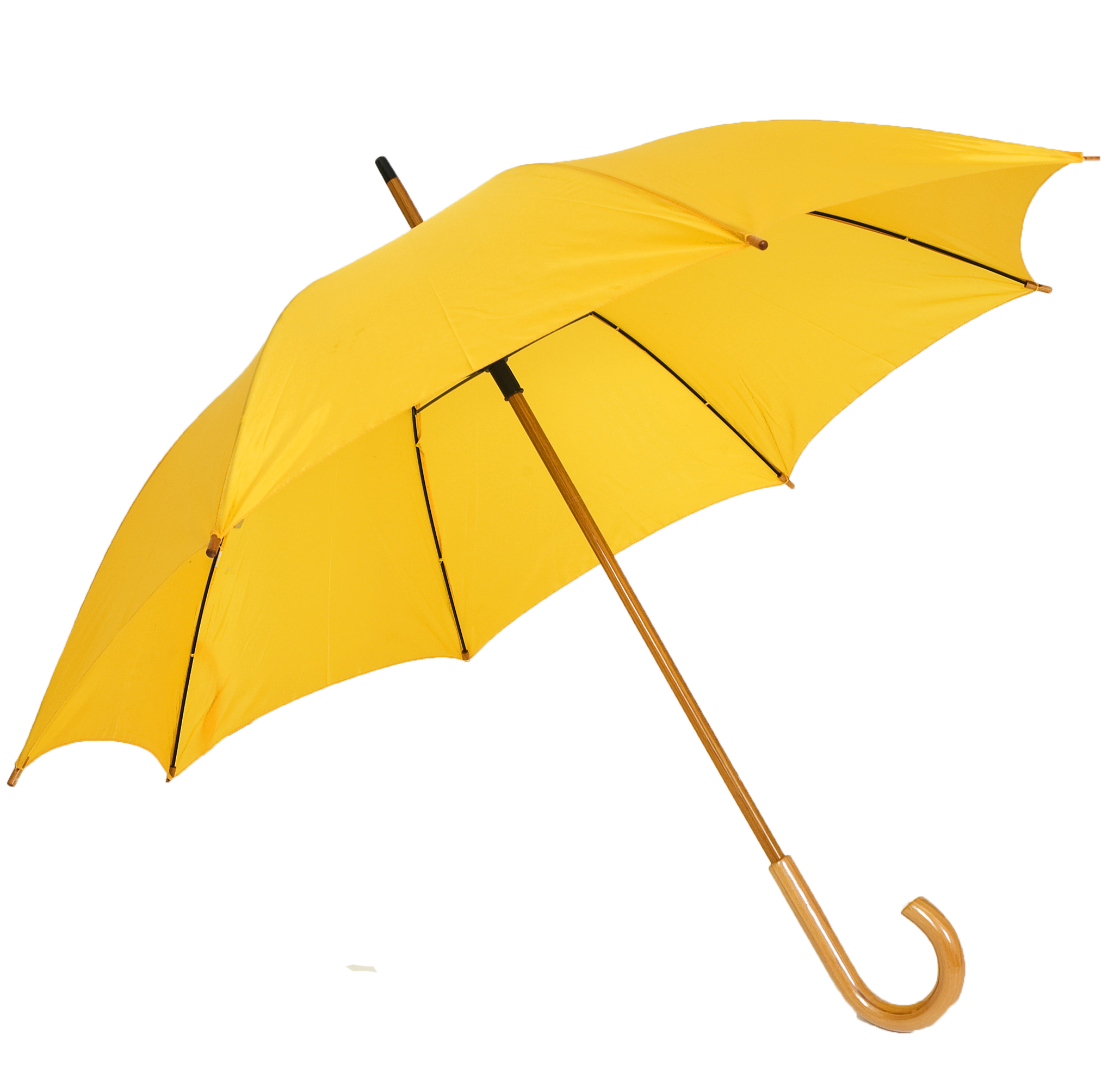 Umbrella PNG Transparent Images | PNG All