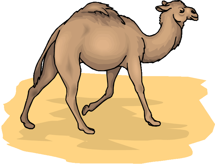 Free camel clipart - ClipartFox
