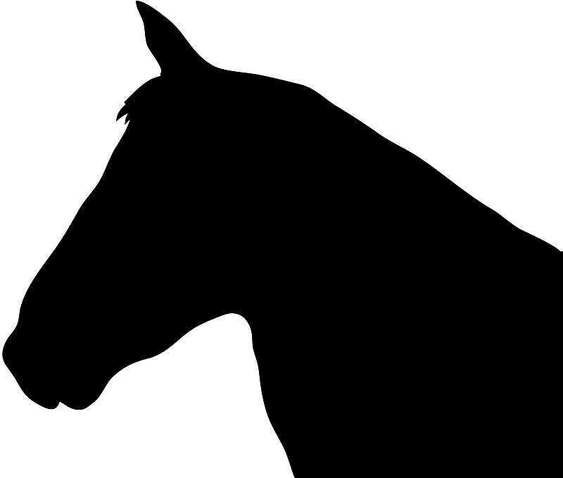 Horse head clipart outline black and white