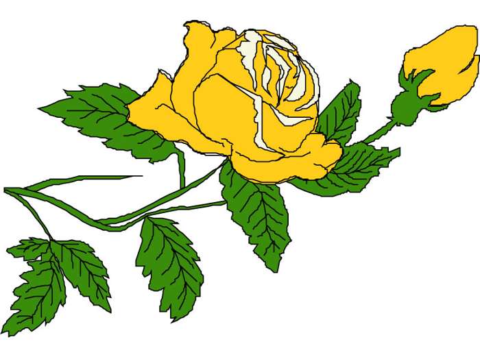 free clipart yellow roses - photo #4