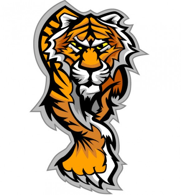 Tiger cartoon vector | Download free Vector