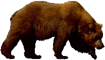 Bear Clipart