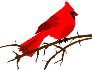 Bird Clipart Image - Red Cardinal Sitting on a Branch