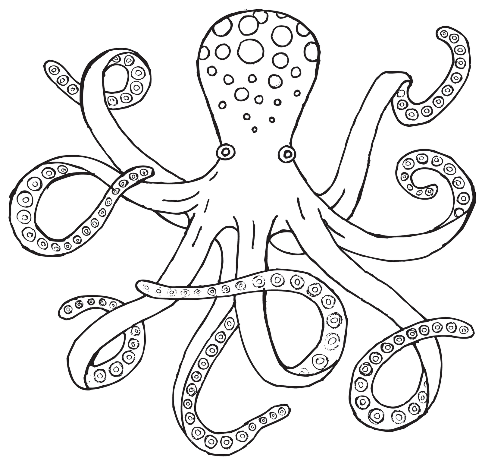 Drawing Octopus ClipArt Best
