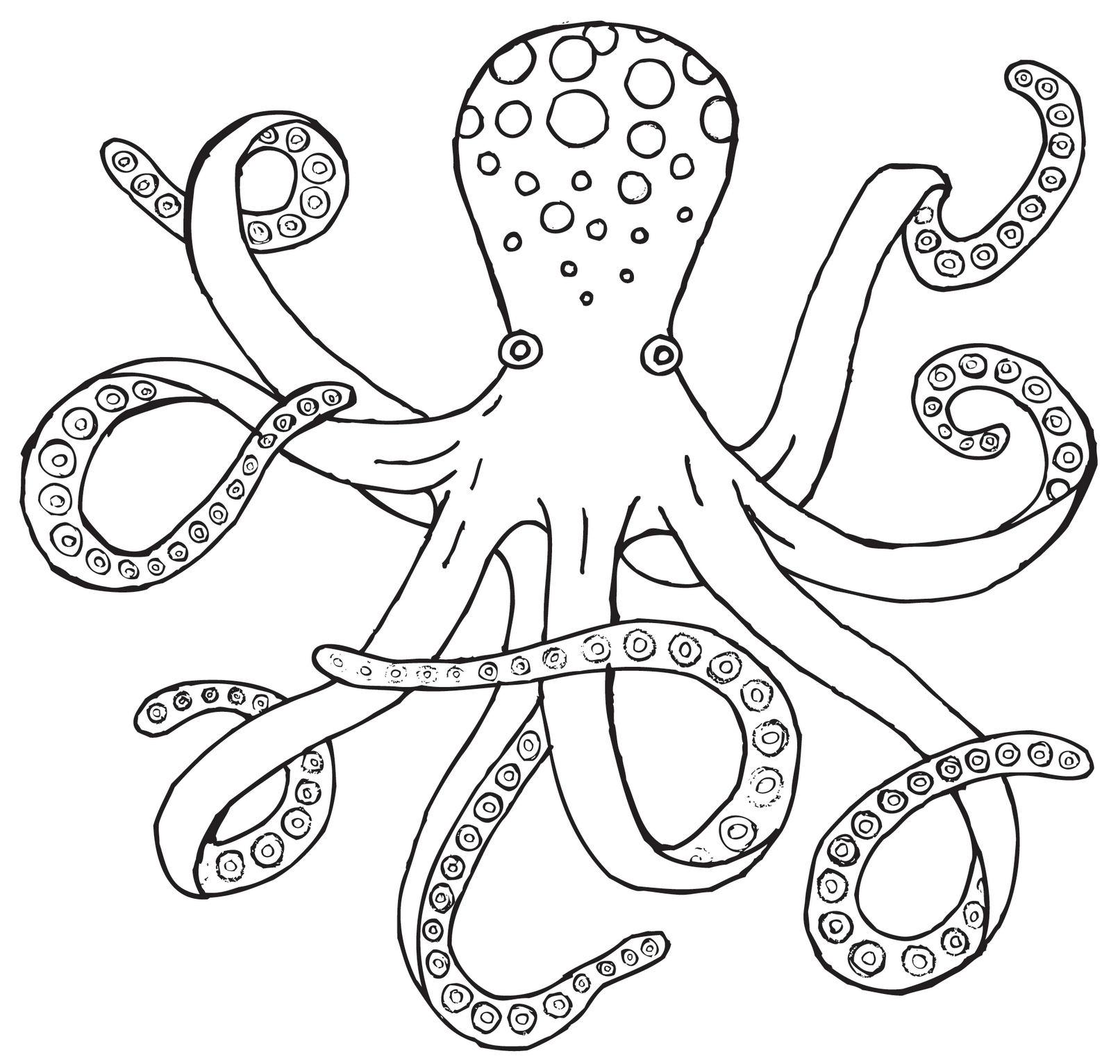 Octopus Drawing Black And White