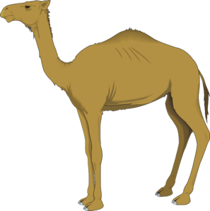 Camel clip art - vector clip art online, royalty free & public domain