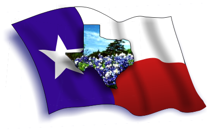 Texas Flag - The Best Flags