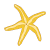 Beach Clip Art - Starfish