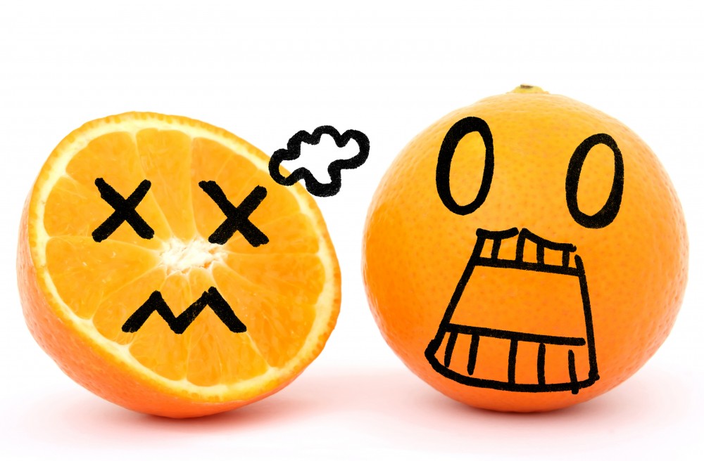 724 views Science Leadership Academy