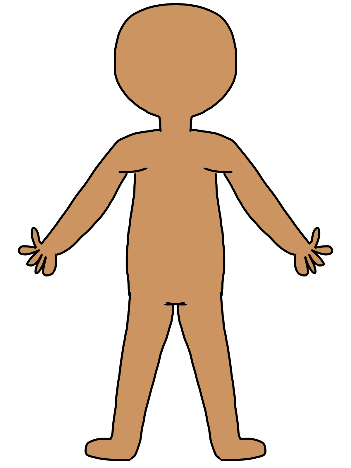 Human body diagram clipart