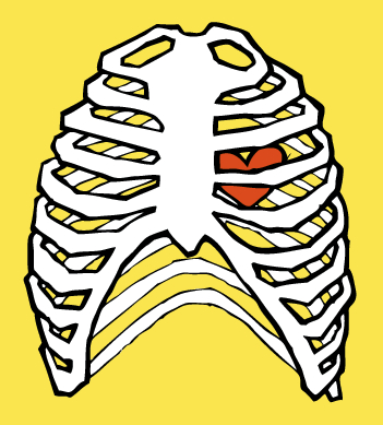 Ribs Drawing With Heart - ClipArt Best