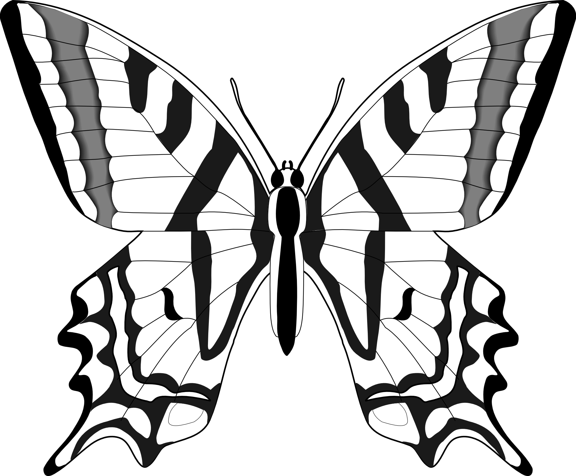 Clipart Butterfly Black And White - Free Clipart ...