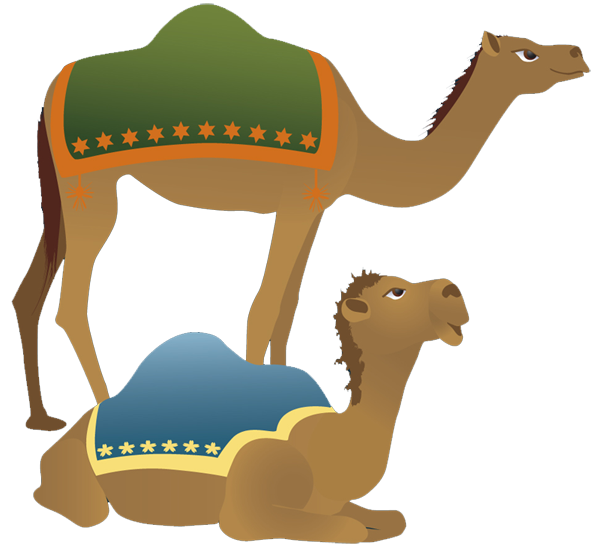 Camel Images | Free Download Clip Art | Free Clip Art | on Clipart ...