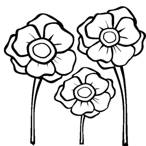 Flower Stems Coloring Pages Clipart - Free to use Clip Art Resource