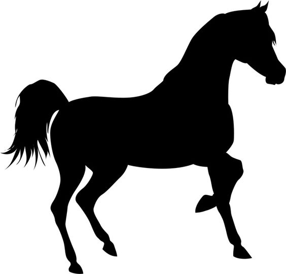 Arabian Horse Stencils ClipArt Best Arabian Horse Stencils ClipArt Best