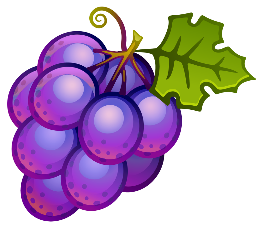 Grapes images clipart