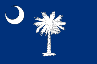 South Carolina Flag | Palmetto Moon ...