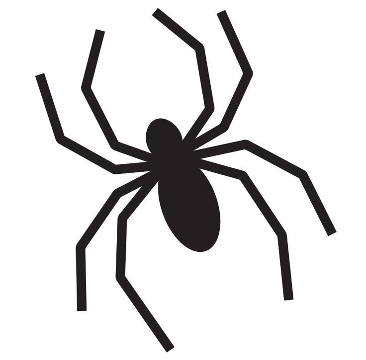 Printable Spider Template For Pumpkin Carving Printable Spider Template For Pumpkin Carving