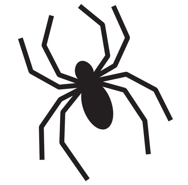 spider-outline-printable-clipart-best