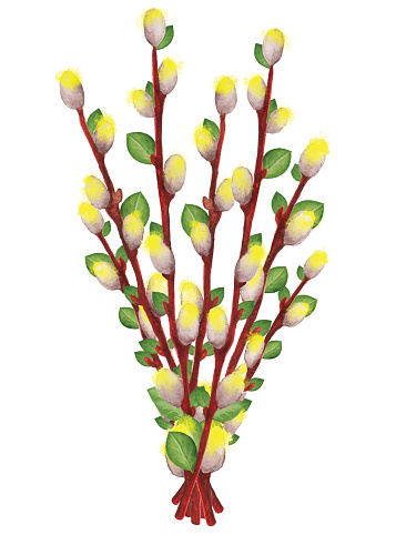 Japanese Willow Tree Clip Art, Vector Images & Illustrations