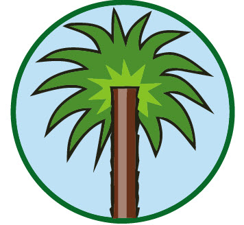 Green Palm Tree Plant vector clipart template | Vector Clip art
