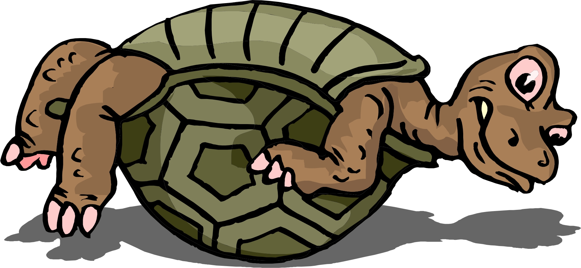 Turtle shell cartoon.