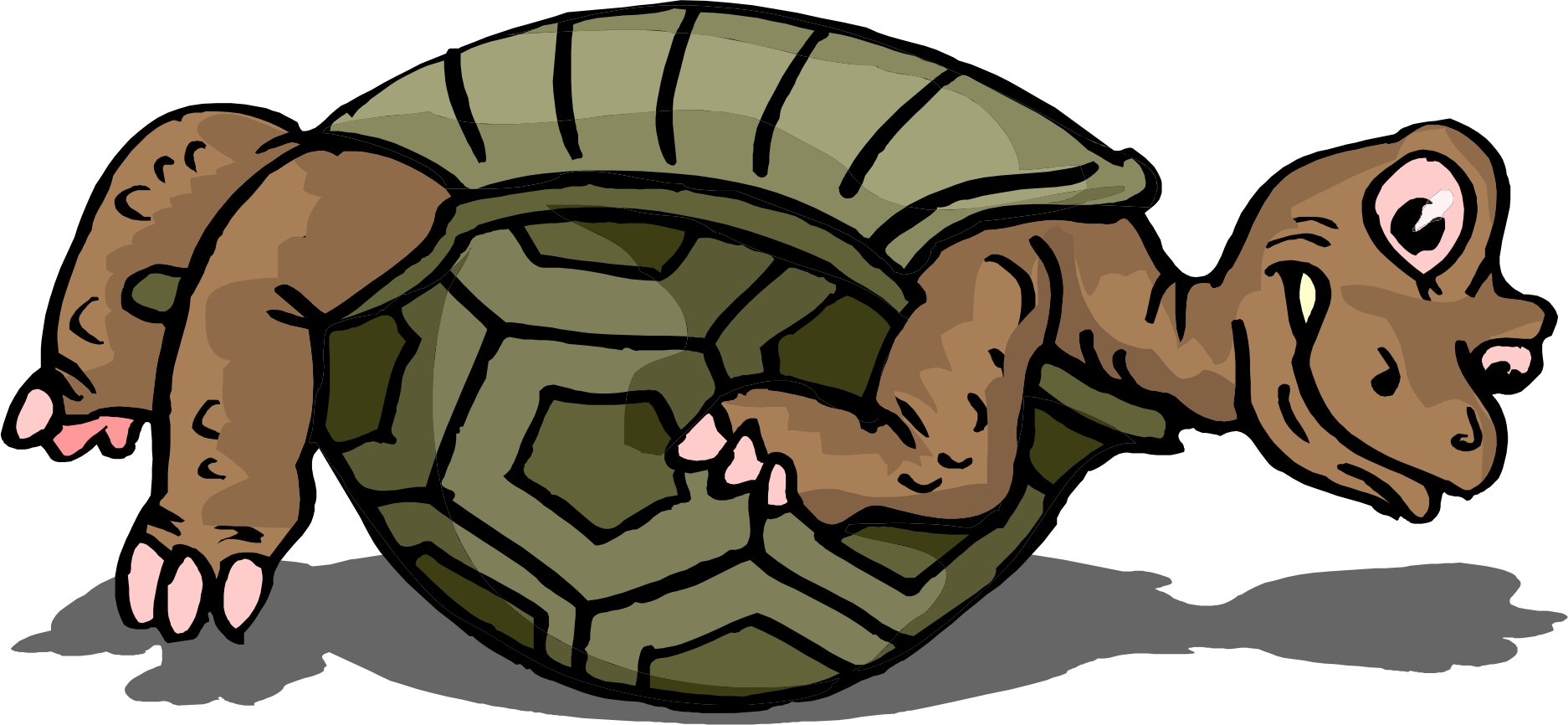 Cartoon Turtle Shell - ClipArt Best