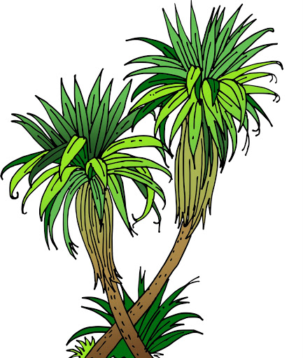 clip art palm tree leaf - photo #9