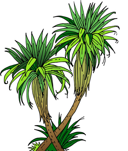 clipart palm tree leaves - photo #11