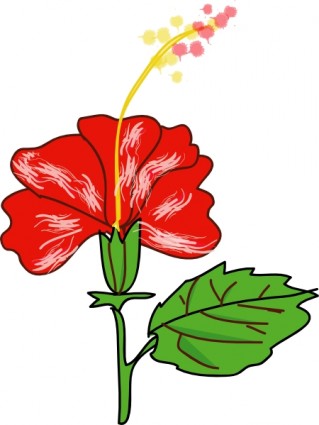 Flower Hibiscus clip art Free vector in Open office drawing svg ...
