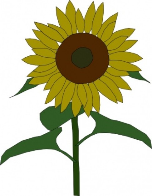 Sun Flower clip art | Download free Vector