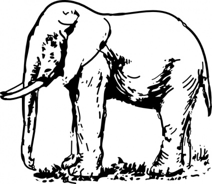 Elephant Drawing clip art vector, free vector graphics