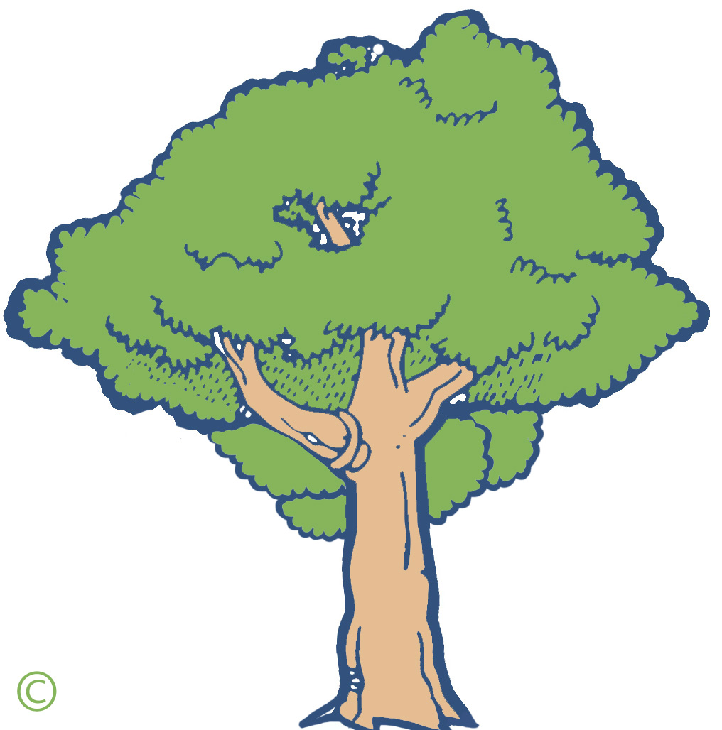 Cartoon Tree | Free Download Clip Art | Free Clip Art | on Clipart ...