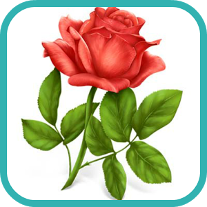 how to draw rose - Android Apps on Google Play
