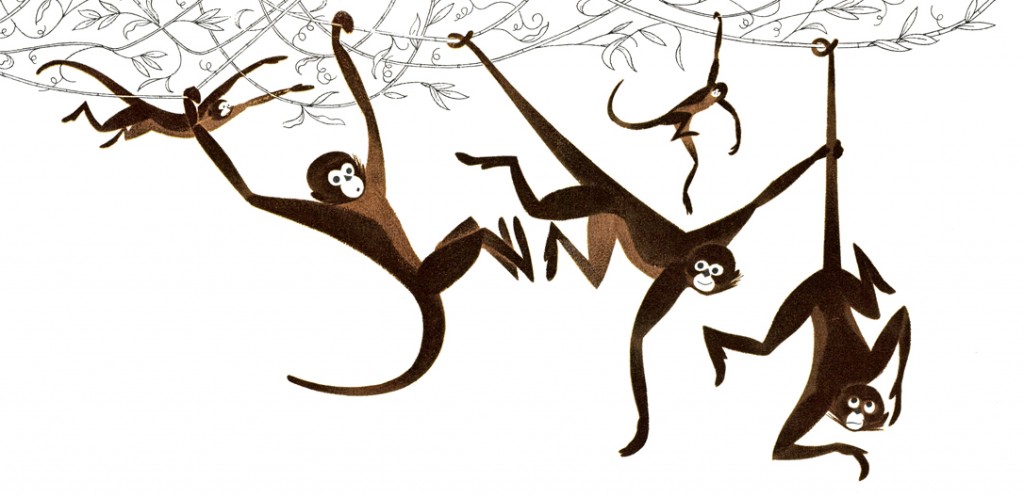Monkey Illustrations Clipart Best