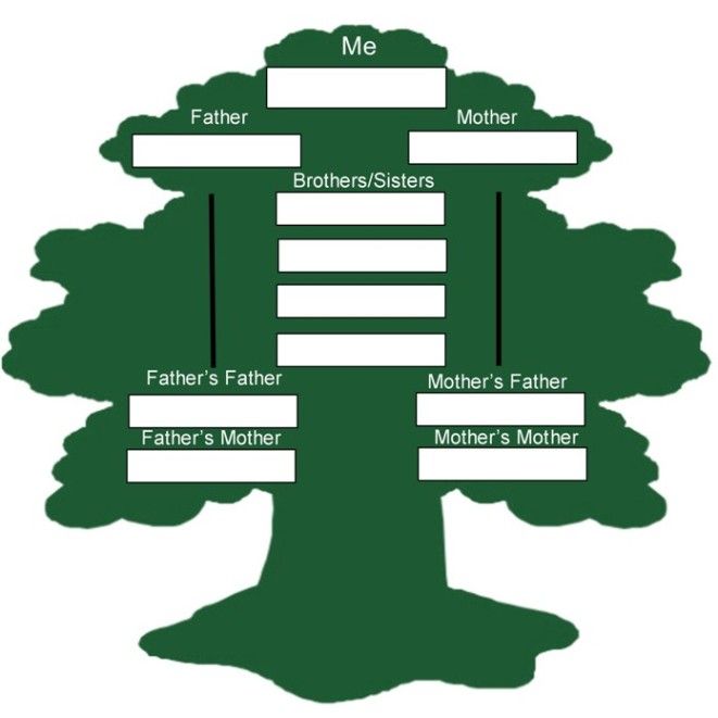 1000+ images about Arbol genealÃ³gico, Family tree