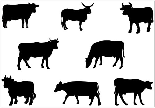 1000+ images about Cow SVG Files | Free clipart ...