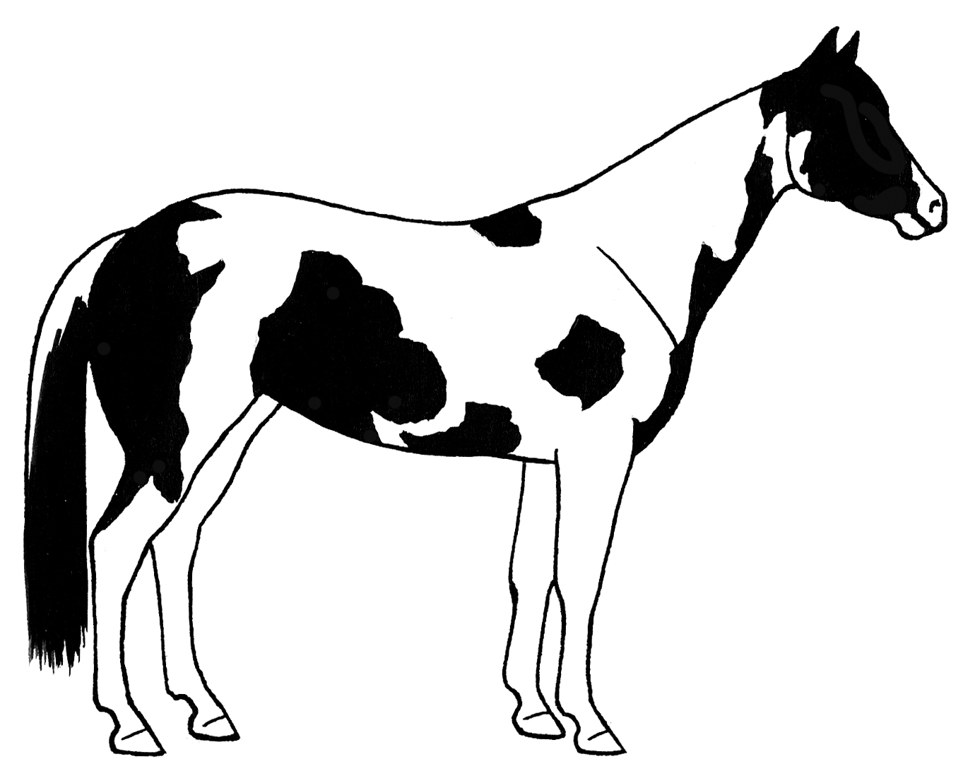 Paint horse head clipart