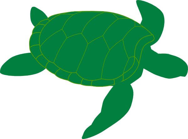 Sea turtle clip art free 3