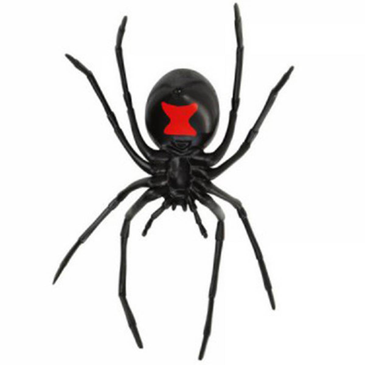 Black Widow Spider Hidden Kingdom Figure Safari Ltd – Radar Toys