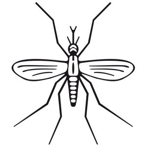 Mosquito Cartoon Clip Art Download
