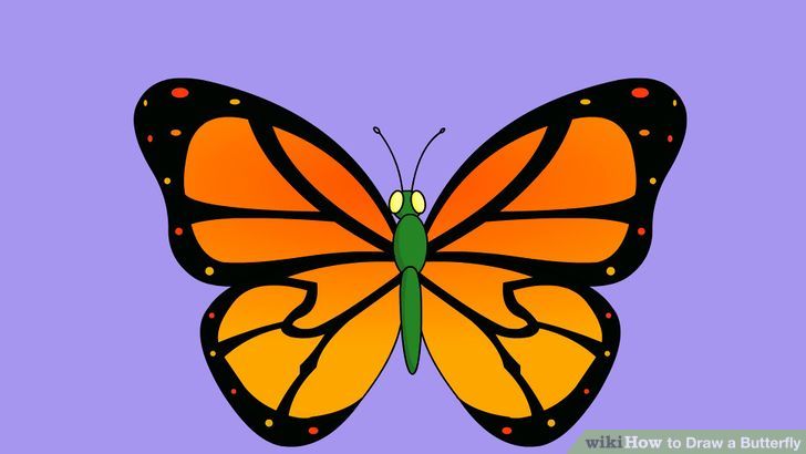 2 Ways to Draw a Butterfly Step-by-Step - wikiHow