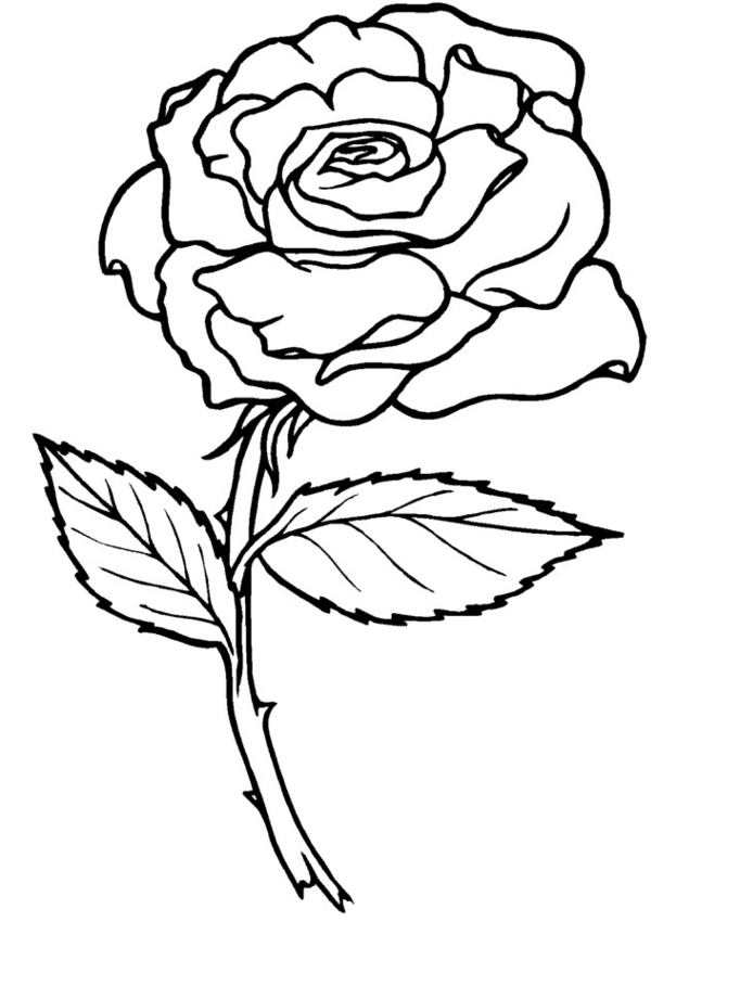 yellow lab coloring pages - photo #31