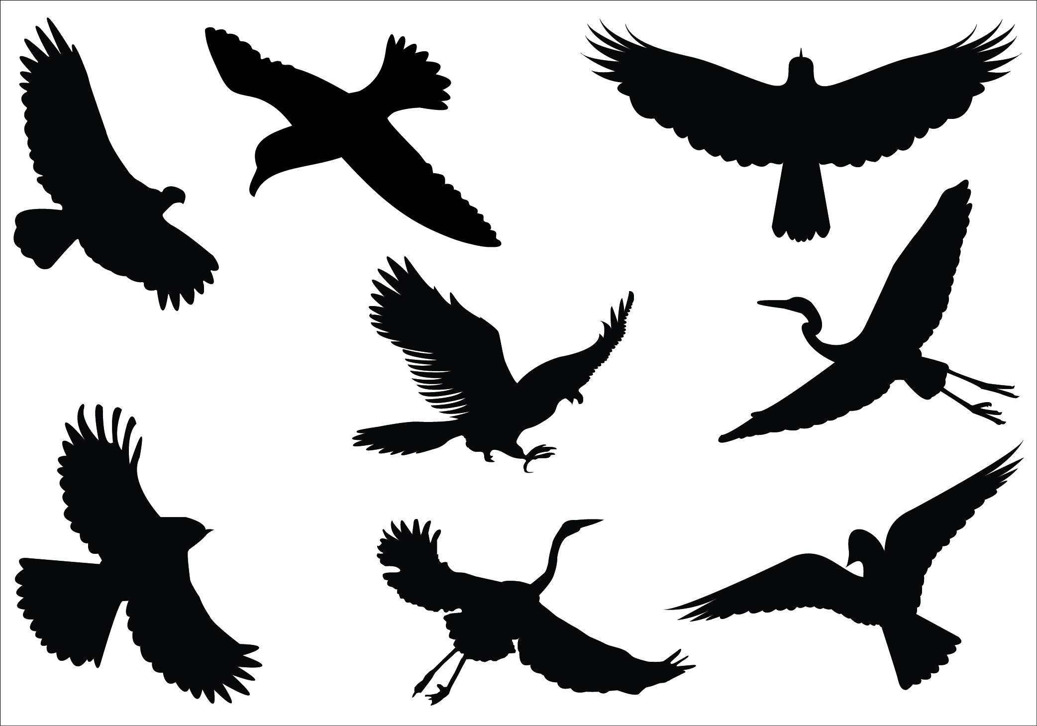 Bird flying silhouette clipart