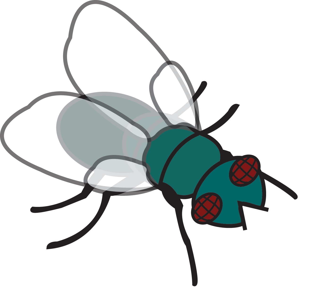 Clipart images of a fly