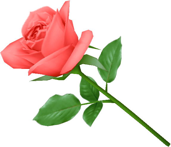 Rose PNG flower images, free download - ClipArt Best - ClipArt Best