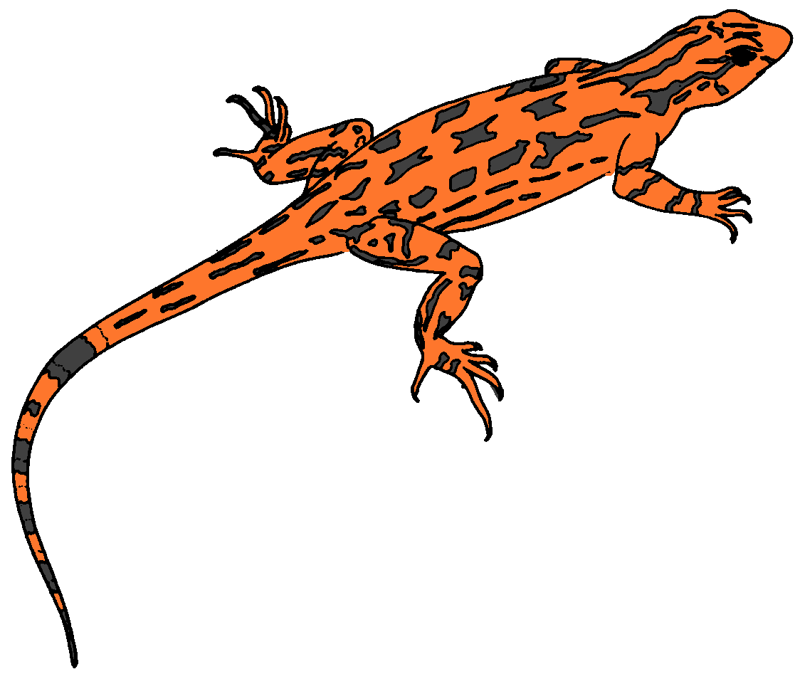 Clipart Lizard - Tumundografico